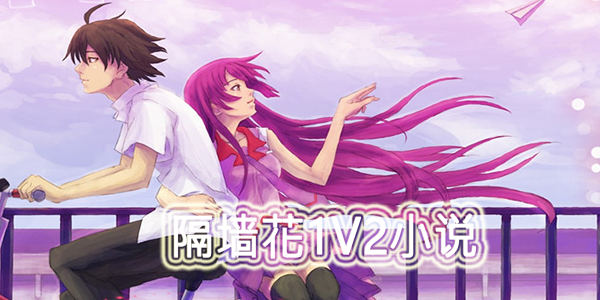 隔墙花1v2小说