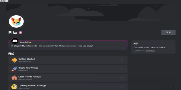 pika labs中文版截图